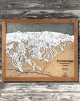 Breckenridge, CO Ski Trail Map Artwork Slopes Mountain Art 23" x 28" Natural