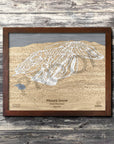 Mount Snow, VT Ski Trail Map Artwork Slopes Mountain Art 23" x 28" Rustic Kona