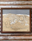 Okemo Mountain, VT Ski Trail Map Artwork Slopes Mountain Art 23" x 28" Rustic Kona