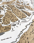 Palisades Tahoe, CA Ski Trail Map Artwork Slopes Mountain Art