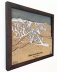 Steamboat Mountain, CO Ski Trail Map Artwork Slopes Mountain Art