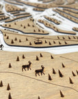 Steamboat Mountain, CO Ski Trail Map Artwork Slopes Mountain Art