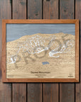 Stowe Mountain, VT Ski Trail Map Artwork Slopes Mountain Art 23" x 28" Natural