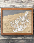 Waterville Valley, NH Ski Trail Map Artwork Slopes Mountain Art 23" x 28" Natural