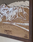 Sugar Bowl, CA Ski Trail Map