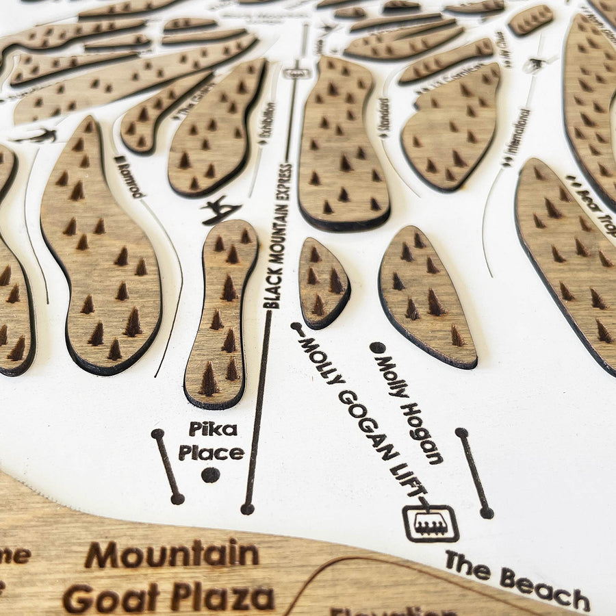 Arapahoe Basin, CO Ski Trail Map Artwork Slopes Mountain Art   