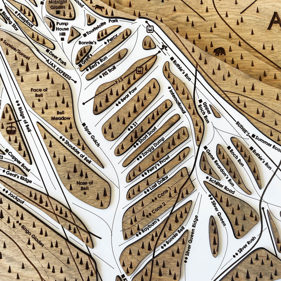 Aspen Mountain Ski Trail Map  3D Wooden Ski Trail Map Art