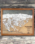 Breckenridge, CO Ski Trail Map Artwork Slopes Mountain Art 23" x 28" Natural 