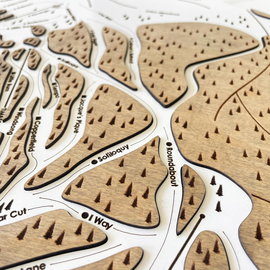 Copper Mountain, CO Ski Trail Map Artwork Slopes Mountain Art   