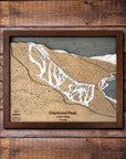 Diamond Peak, NV Ski Trail Map Artwork Slopes Mountain Art 23" x 28" Rustic Kona 