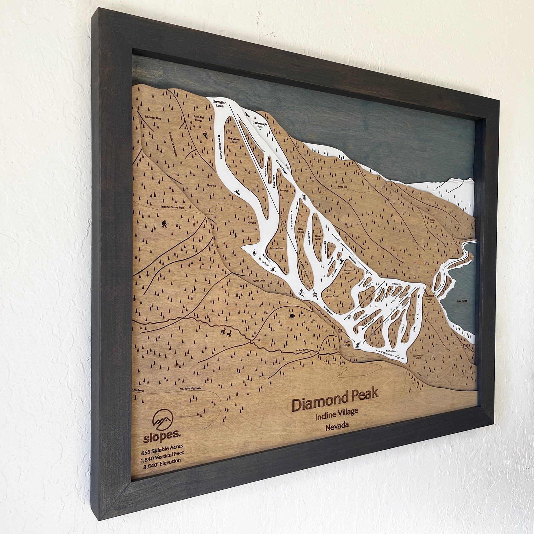 Diamond Peak, NV Ski Trail Map Artwork Slopes Mountain Art   