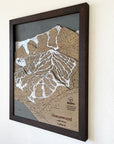 Homewood Mountain, CA Ski Trail Map Artwork Slopes Mountain Art   