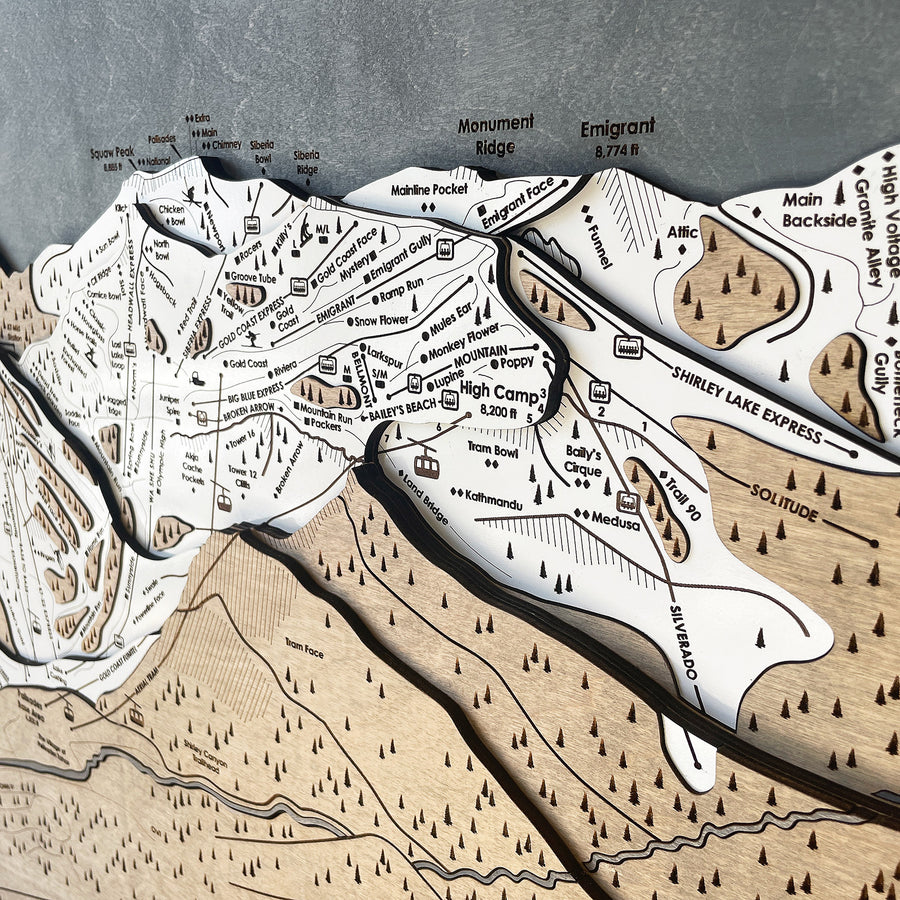 Palisades Tahoe, CA Ski Trail Map Artwork Slopes Mountain Art   