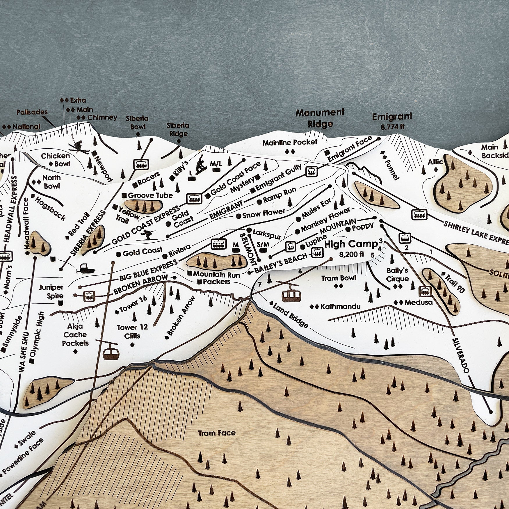 Palisades Tahoe, CA Ski Trail Map Artwork Slopes Mountain Art   