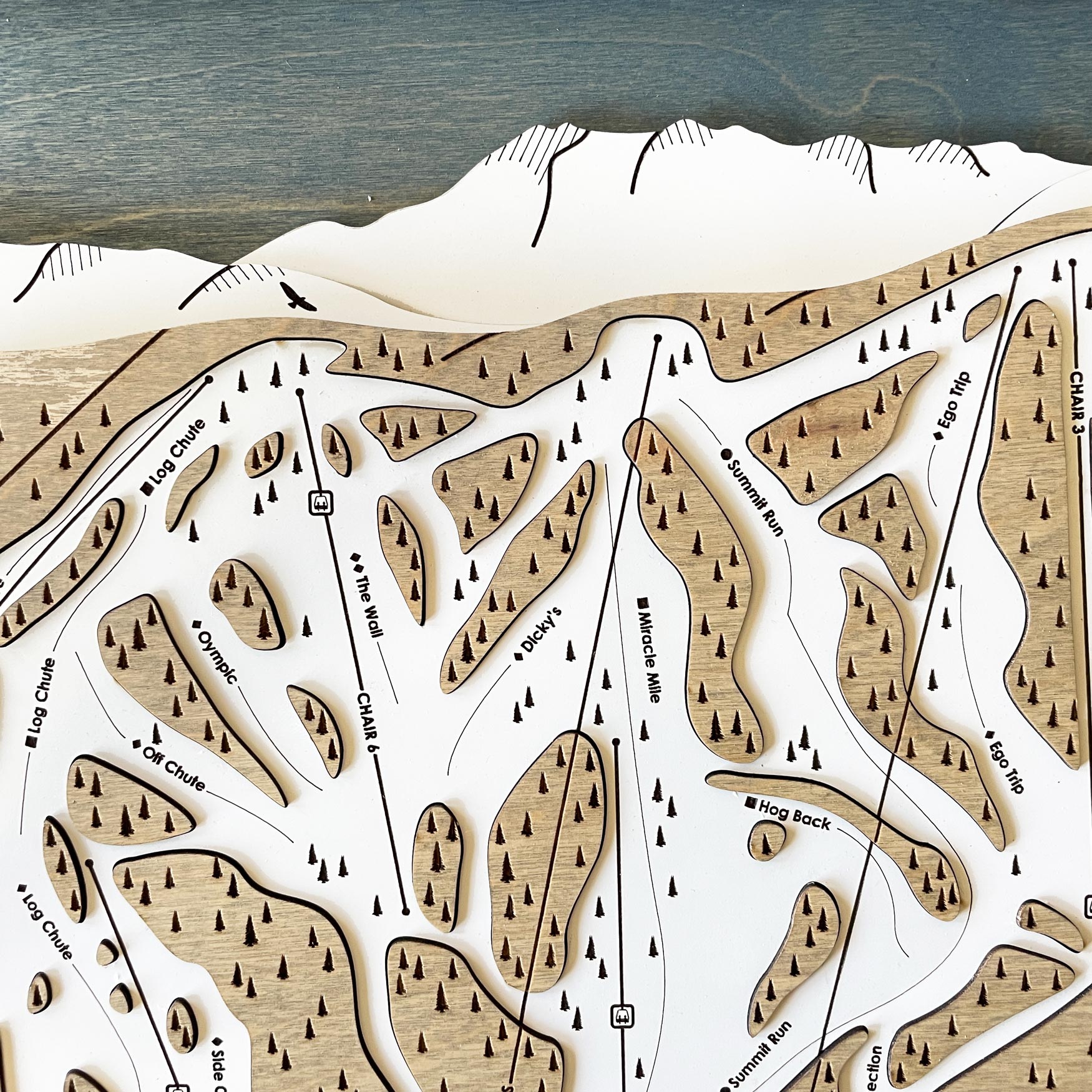 Snow Summit, CA Ski Trail Map Artwork Slopes Mountain Art   