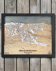 Steamboat Mountain, CO Ski Trail Map Artwork Slopes Mountain Art 23" x 28" Matte Black 