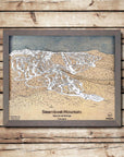 Steamboat Mountain, CO Ski Trail Map Artwork Slopes Mountain Art 23" x 28" Storm Grey 