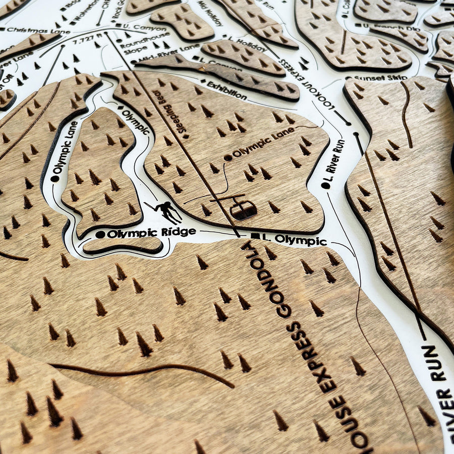 Sun Valley, ID Ski Trail Map Artwork Slopes Mountain Art   