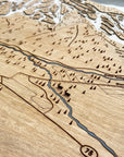 Sun Valley, ID Ski Trail Map Artwork Slopes Mountain Art   