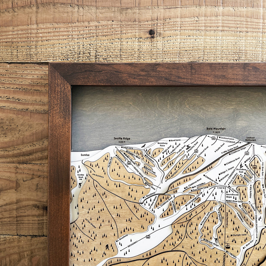 Sun Valley, ID Ski Trail Map Artwork Slopes Mountain Art   