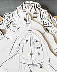 Timberline, OR Ski Trail Map Artwork Slopes Mountain Art   