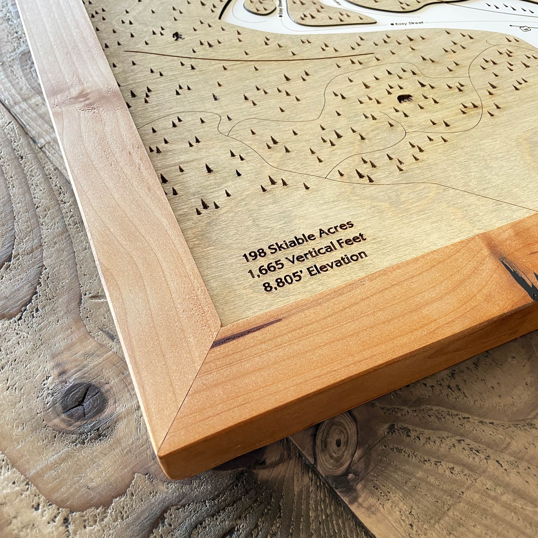 Bear Mountain, CA Ski Trail Map Artwork Slopes Mountain Art   